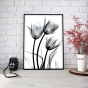     - X-Ray Flowers