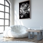     - Black & White Flowers