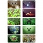   Minecraft No.1