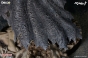  Berserk - Guts 1/6 Scale Statue Lost Children no Shou Black Swordsman Ver.