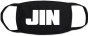 ����� ������ K-POP BTS Jin