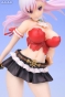 ������� ERSH Queen's Blade Rebellion - Captain Liliana - Excellent Model - 1/8 MegaHouse