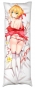 ���������� ��������� � �������� Fate/Grand Order - Saber Nero