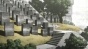   -1 / Sidonia no Kishi TV-1 [12  12]