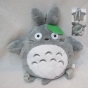 ������ �������� Totoro � ���� ������ �������