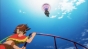 :     / Suisei no Gargantia [13  13 + 2 SP]