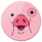     -   / Waddles - Gravity Falls
