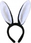 ���� ������� �������� ������ "Rabbit Collection"