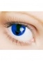      "Colors Eye Free Carnival"   039