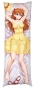��������� ���������� Evangelion - Asuka Langley