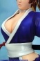 Dead or Alive 5 Kasumi
