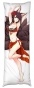 ��������� ���������� �� ������� ��������� "Azur Lane" Akagi