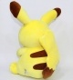 ������ �������-������� Pokemon