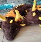   Genshin Impact - Morax Dragon