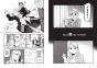   .  10 / Fullmetal Alchemist. Vol. 10