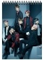    A5 BTS