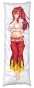 ��������� ���������� �� ������� ��������� Fairy Tail Erza Scarlet