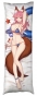 ��������� ���������� �� ������� ��������� "Fate Extra" Caster