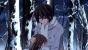 Vampire Knight (-)