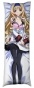 ��������� ���������� �� ������� ��������� Infinite Stratos - ������ �������
