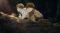      / Hai to Gensou no Grimgar [12  12+OVA]