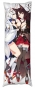 ��������� ���������� Azur Lane - Akagi � Kaga