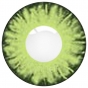      "Colors Eye Free Carnival"   100