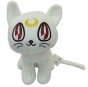   Pretty Soldier Sailormoon 303916