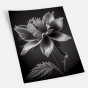    - Black & White Flowers