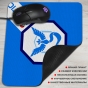 ������ ��� ����� ������������� Pokemon Go Team Mystic