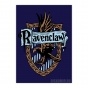 ������ �������� Harry Potter Ravenclaw