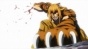    / Killing Bites [HD]