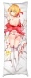 ��������� ���������� Fate/Grand Order - Saber Nero