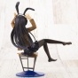  Seishun Buta Yarou wa Bunny Girl Senpai no Yume wo Minai Mai Sakurajima