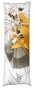 ��������� ���������� �� ������� ��������� Touken Ranbu � �������