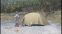    / Yuru Camp [HD]