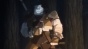       / Zero kara Hajimeru Mahou no Sho