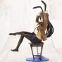  Seishun Buta Yarou wa Bunny Girl Senpai no Yume wo Minai Mai Sakurajima