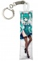    Vocaloid Hatsune Miku