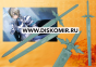  Sword Art Online - Kirigaya Kazuto Rose
