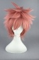   "Fairy Tail" Natsu Dragneel