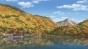    / Yuru Camp [DVD]