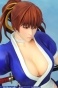 Dead or Alive 5 Kasumi