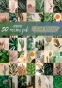 50   - 