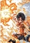   One Piece  13