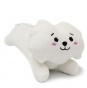 ����� �������� ������ Bangtan Boys BTS - Jin Rj
