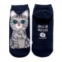 ����� The �at - American Shorthair