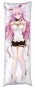 ��������� ���������� Honkai Impact �1