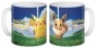  Pokemon - Pikachu  Eevee