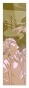�������� Mushishi Ginko